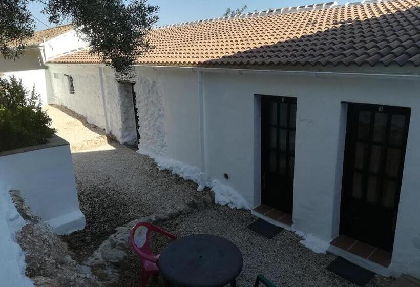 غرفة عائلية, Olive Branch El Chorro