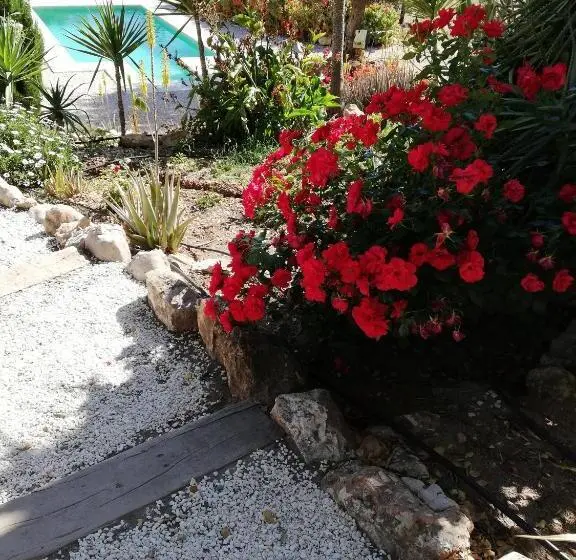 ファミリールーム, Olive Branch El Chorro