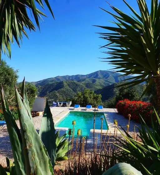 ファミリールーム, Olive Branch El Chorro