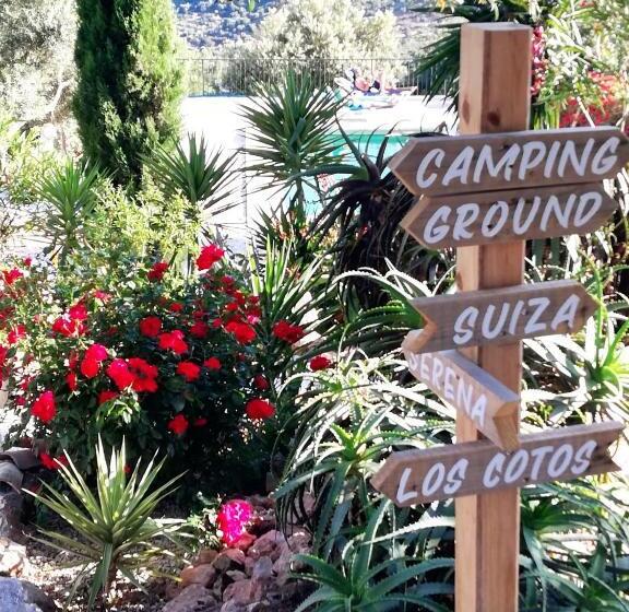 غرفة عائلية, Olive Branch El Chorro