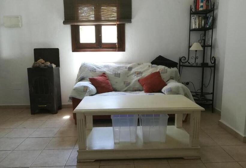 شقة غرفة واحدة, Olive Branch El Chorro