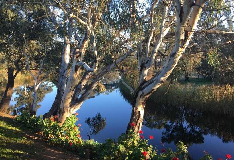 חדר סטנדרט לשלושה, Donald Riverside Motel