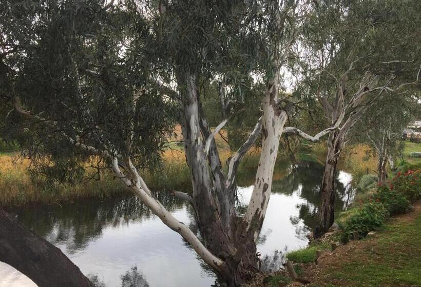 스탠다드 테라스 룸, Donald Riverside Motel