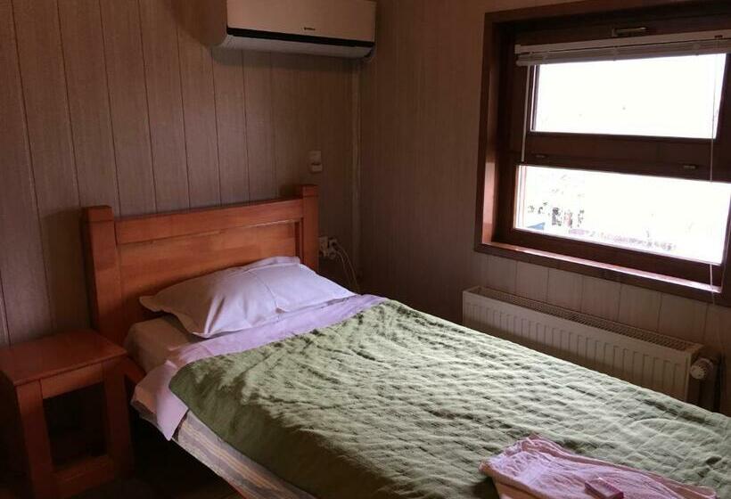 Standard Single Room, Pensiunea Iona