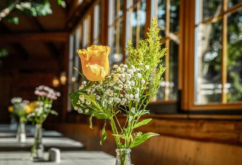 חדר סטנדרט, Voralpenhotel Schmoller