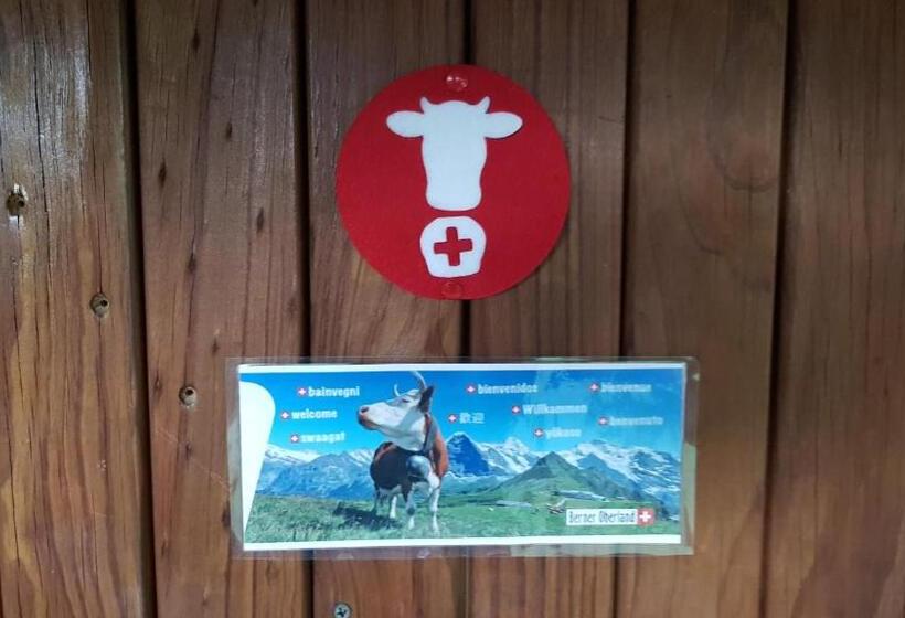 חדר סטנדרט עם טרסה, Alice's Secret Travellers Inn