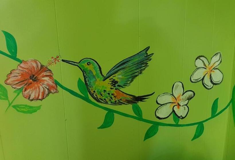 חדר בסיסי חדר אמבטיה משותף, Alice's Secret Travellers Inn