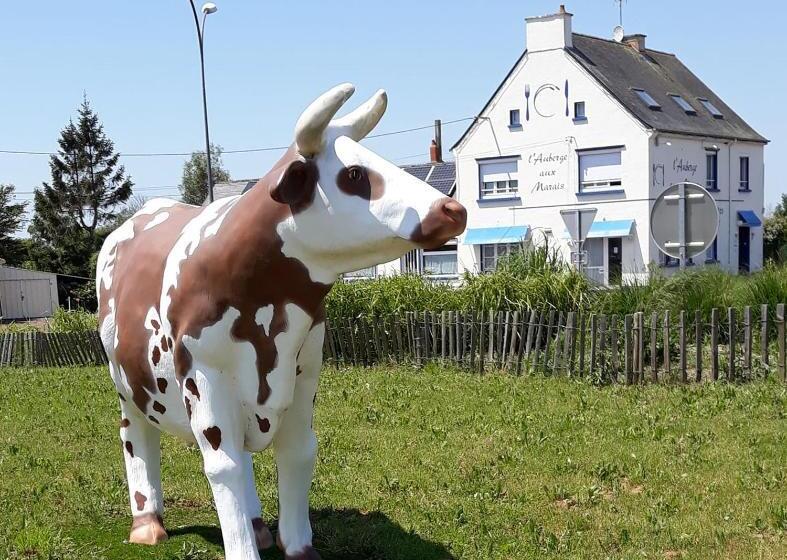 חדר סטנדרט, B&b Auberge Aux Marais