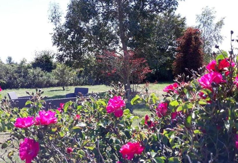 חדר סטנדרט לשלושה, B&b Auberge Aux Marais