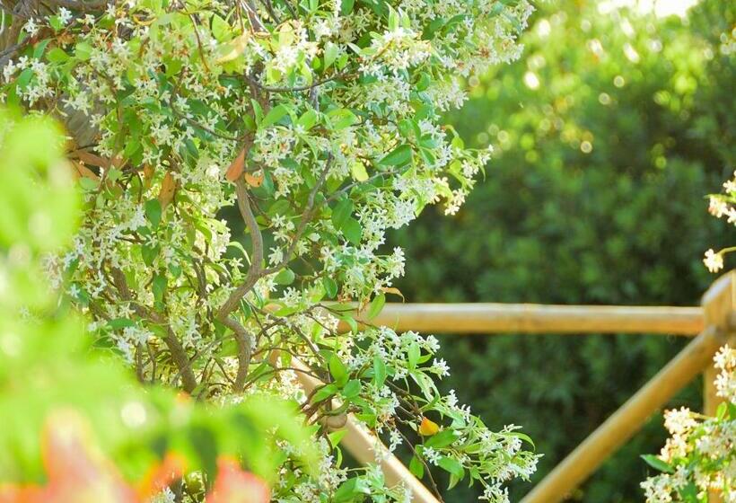 침실 1개 아파트, Azienda Agrituristica Il Giuggiolo