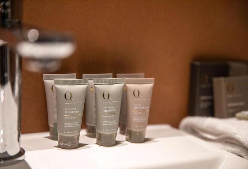 סטודיו משפחתי, The Brook By Nightcap Plus