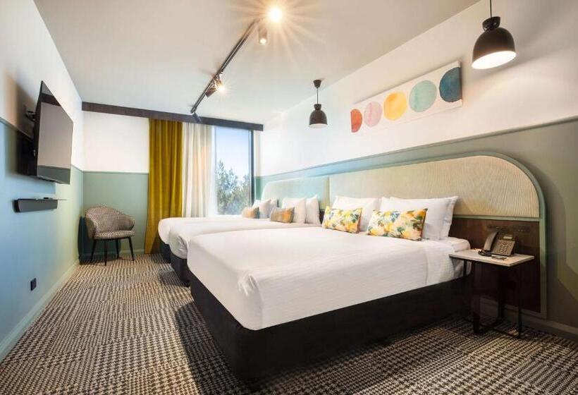 סטודיו משפחתי, The Brook By Nightcap Plus