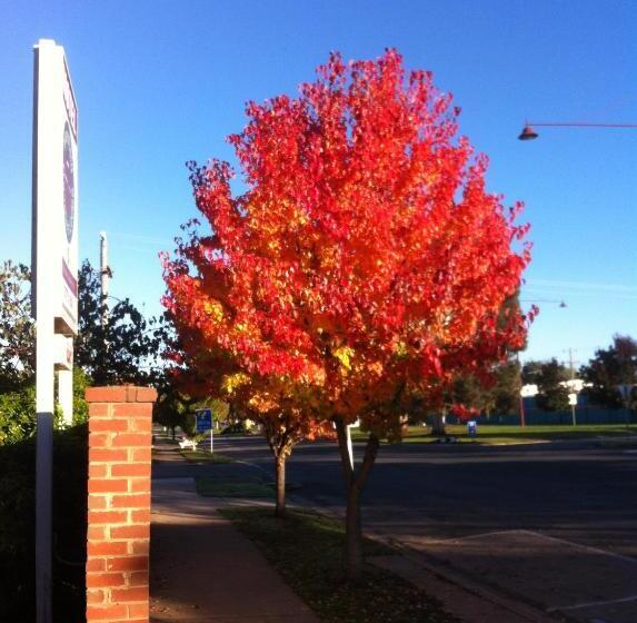 스탠다드 룸, Mansfield Travellers Lodge