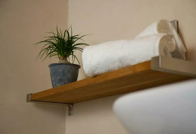 اتاق استاندارد, Piltriquitron Lodging