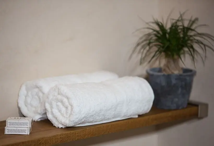 اتاق کلاسیک, Piltriquitron Lodging