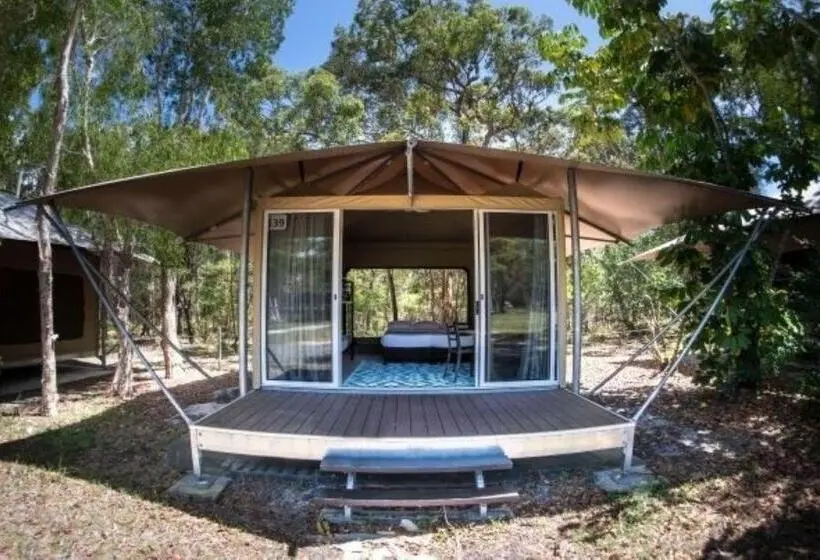 Standard Tent, Big4 Noosa North Shore