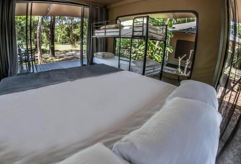 Standard Tent, Big4 Noosa North Shore