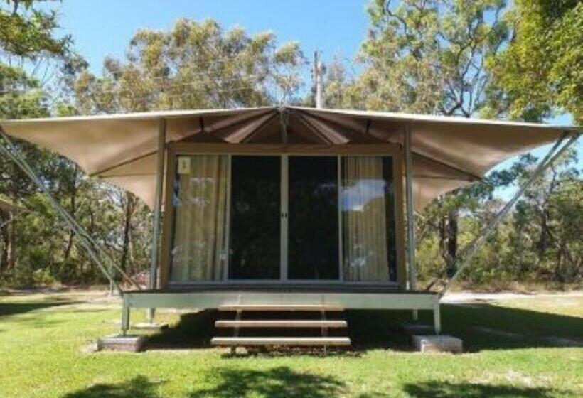 Standard Tent, Big4 Noosa North Shore