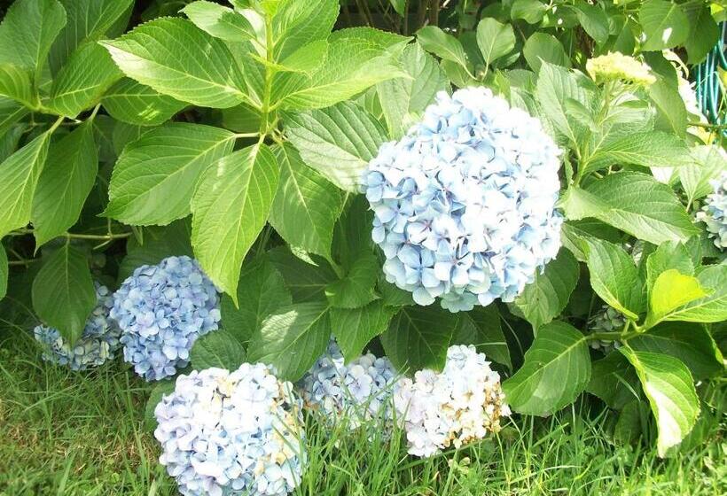 דירת חדר בקומת קרקע, Top Of The Lake Holiday Units