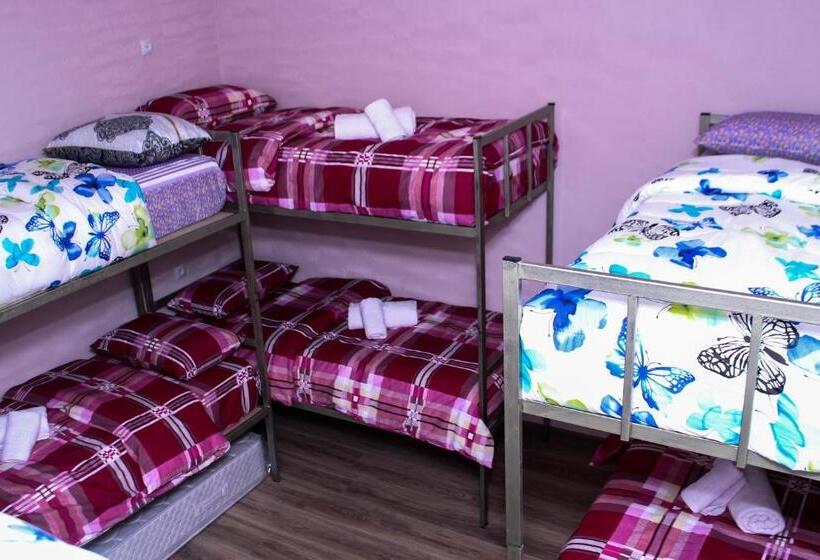 공동 객실, Bee Lucky Hostel And Tours