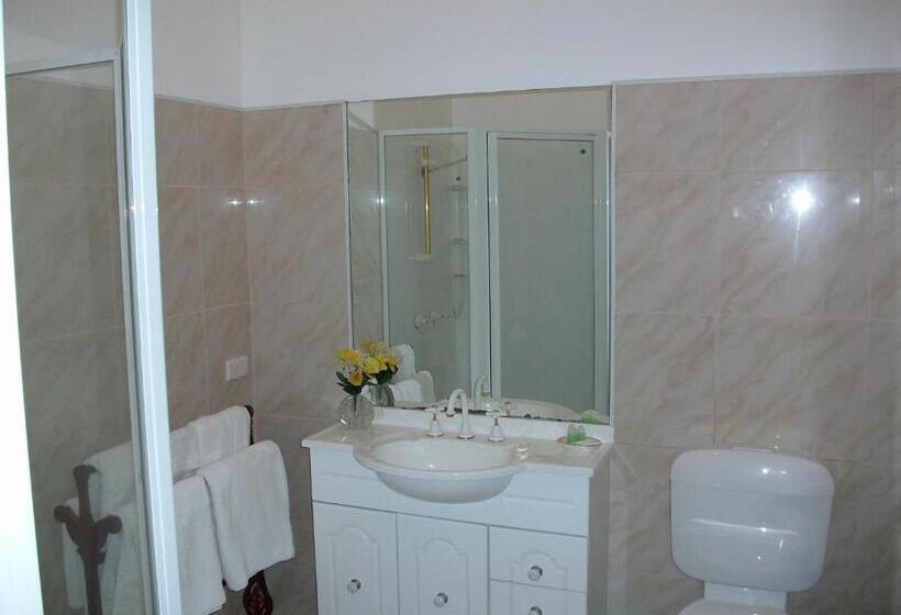 스탠다드 스튜디오, Stella S Dromana