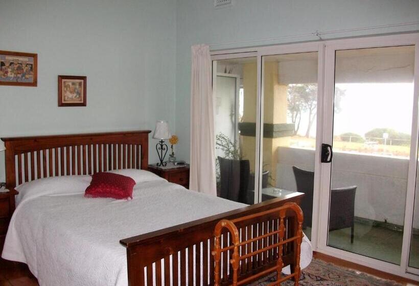 스탠다드 스튜디오, Stella S Dromana