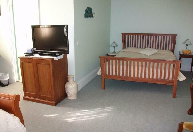 스탠다드 스튜디오, Stella S Dromana