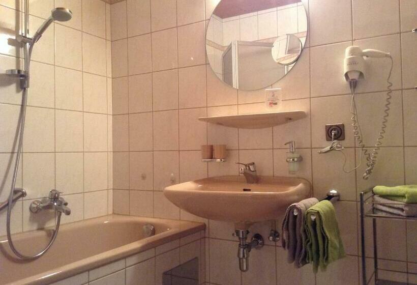 标准间带阳台, Garni Almhof