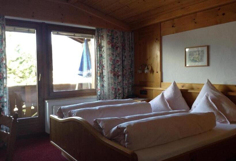 带1个卧室的公寓, Garni Almhof