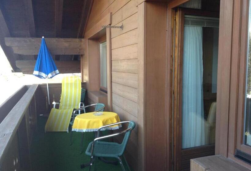 带1个卧室的公寓, Garni Almhof