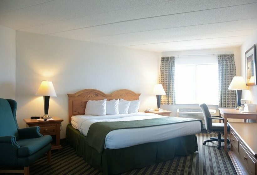 Люкс, American Inn And Suites