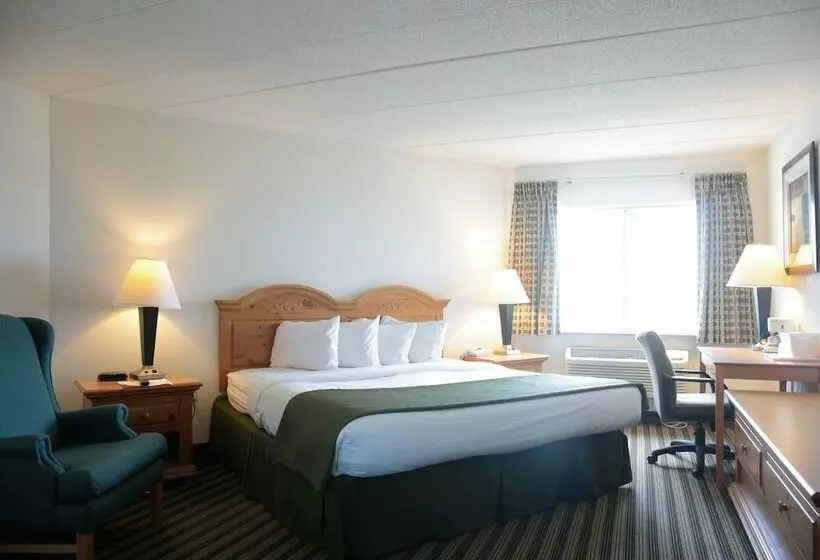 スイート, American Inn And Suites