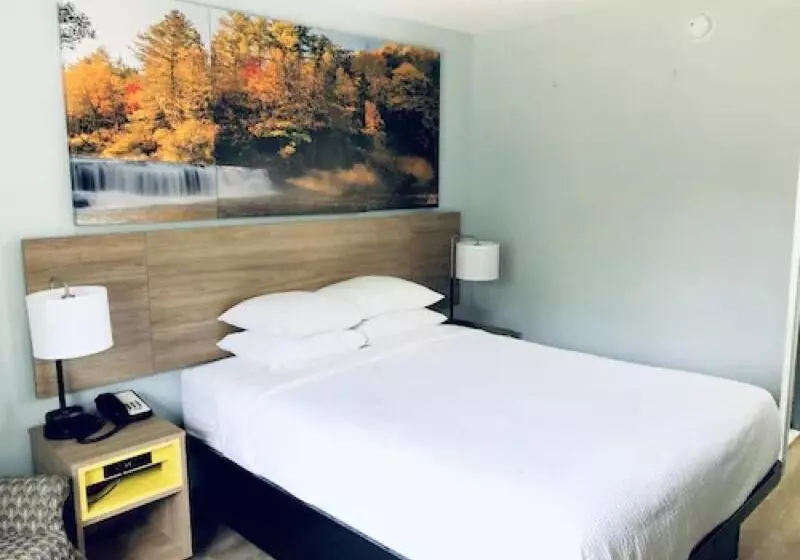 キングサイズベッドのスイートルーム, Days Inn & Suites By Wyndham Siler City