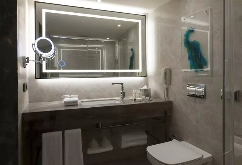スタンダードルーム, Doubletree By Hilton Hotel Istanbul   Sirkeci