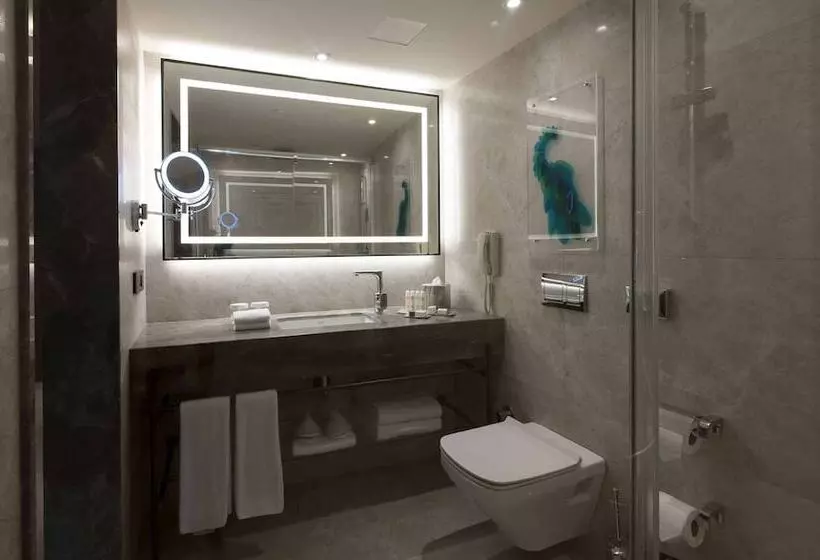 スタンダードルーム, Doubletree By Hilton Hotel Istanbul   Sirkeci