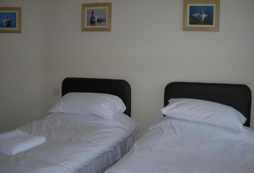 스탠다드 룸, The Swan