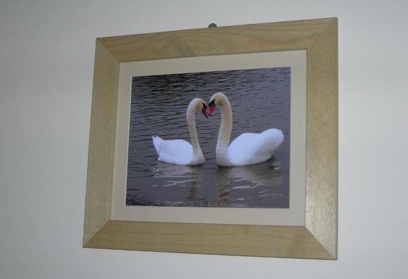 스탠다드 룸, The Swan