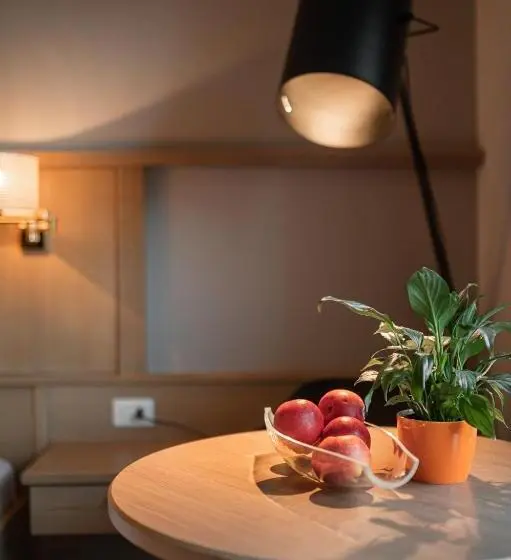آپارتمان 1 خوابه با چشم‌انداز, Apartmenthotel Ritterhof Suites & Breakfast