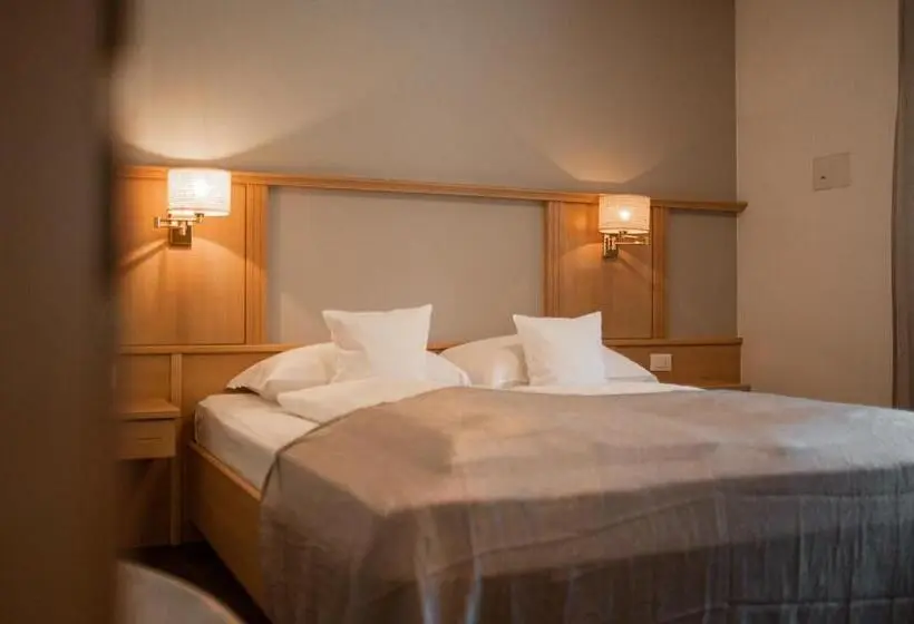 آپارتمان 1 خوابه با چشم‌انداز, Apartmenthotel Ritterhof Suites & Breakfast