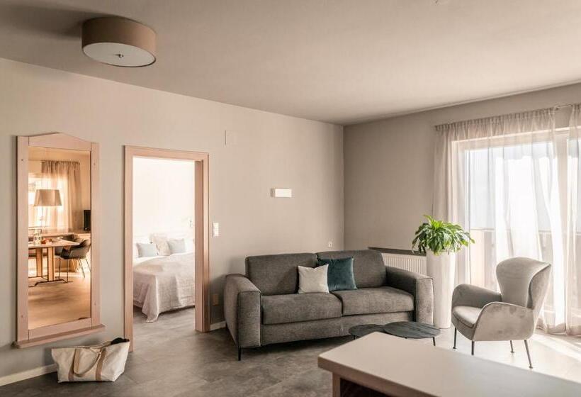 带2个卧室的高级公寓, Apartmenthotel Ritterhof Suites & Breakfast