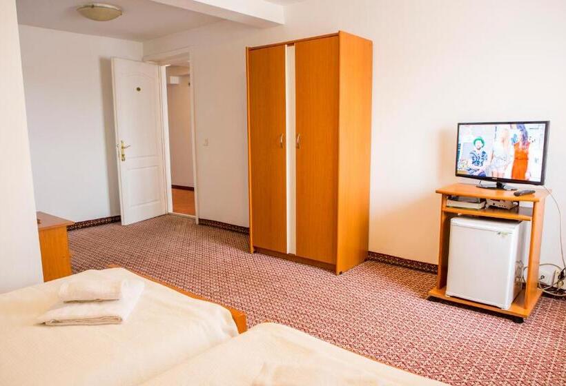 غرفة قياسية, Darina