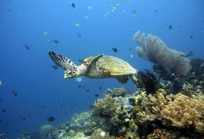 חדר סטנדרט, Putu Guest House Pemuteran