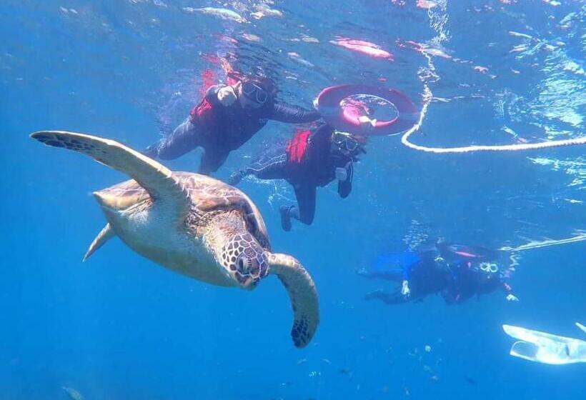 חדר סטנדרט, Putu Guest House Pemuteran