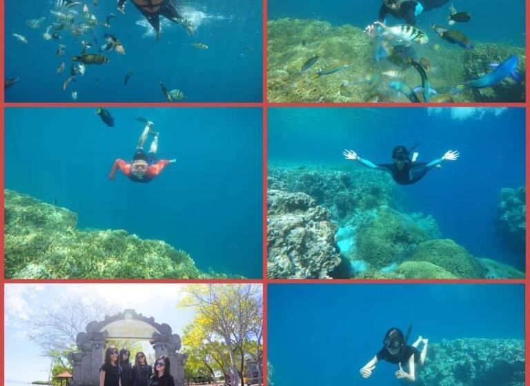 חדר סטנדרט, Putu Guest House Pemuteran