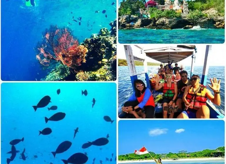 デラックスルーム, Putu Guest House Pemuteran