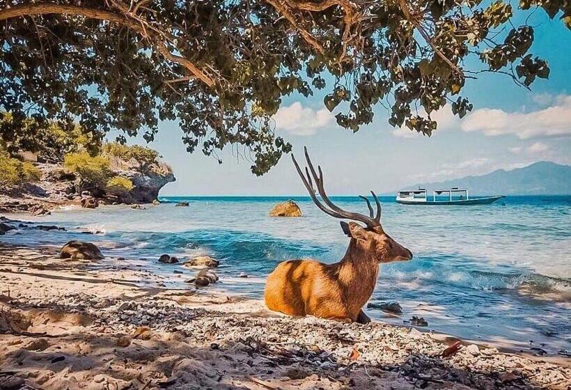 חדר דלוקס, Putu Guest House Pemuteran