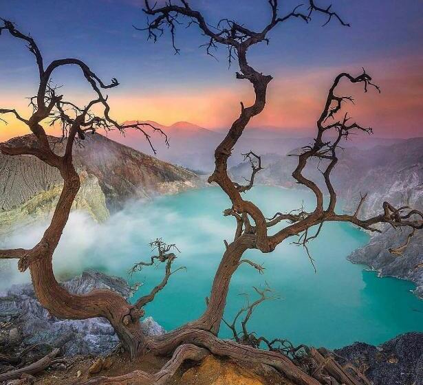 חדר סטנדרט, Putu Guest House Pemuteran