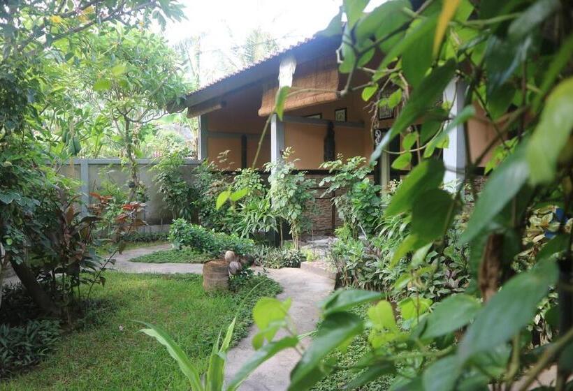 חדר דלוקס, Putu Guest House Pemuteran