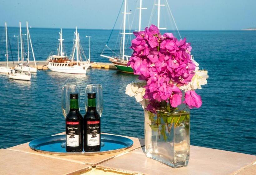 חדר סטנדרט נוף לים, Methanion