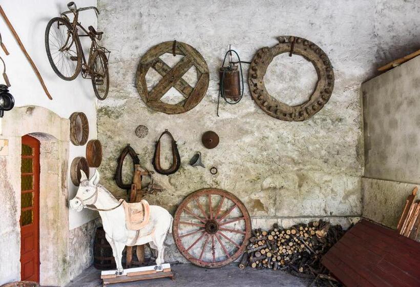 스탠다드 스튜디오 정원 전망, Quinta De Rio Alcaide